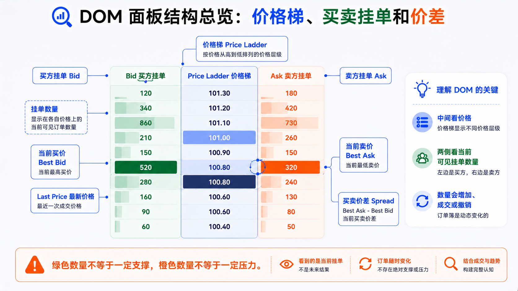 TradingView DOM 面板结构总览：中间价格梯、两侧买卖挂单数量与当前报价区域